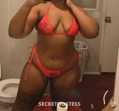 25Yrs Old Escort Houston TX Image - 1