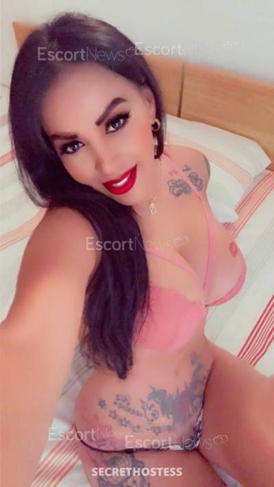 26 Year Old Latino Escort Saint Julian's - Image 3