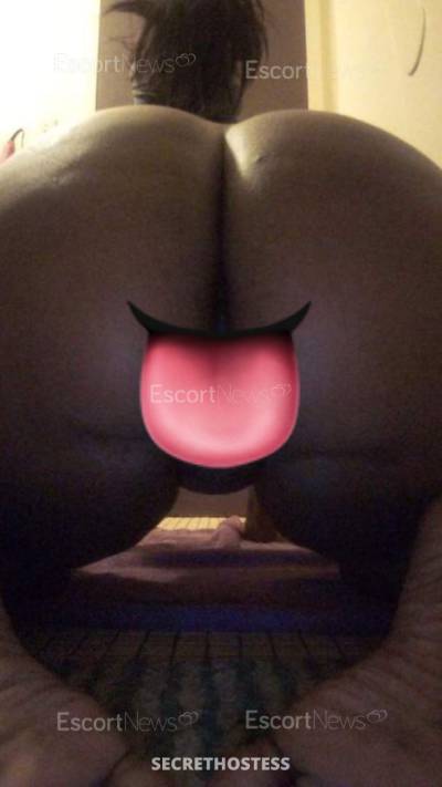 27Yrs Old Escort New York City NY Image - 8