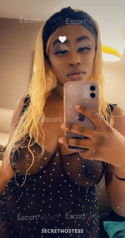 28 Year Old American Escort New York City NY - Image 7