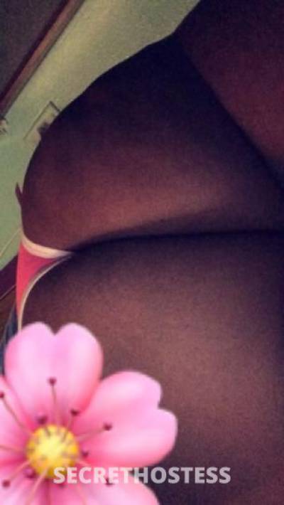 Alex 23Yrs Old Escort Bronx NY Image - 4