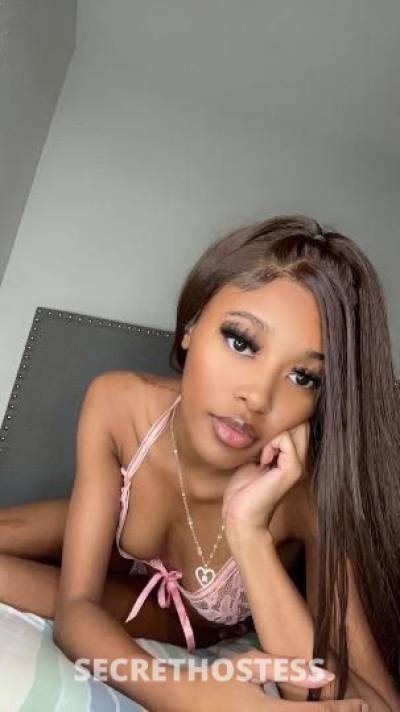 Amiri 23Yrs Old Escort Houston TX Image - 2