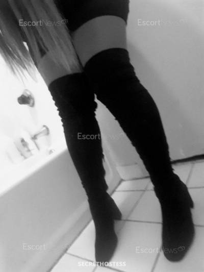 24 Year Old European Escort Los Angeles CA Brunette - Image 2