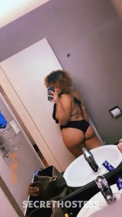 Honey 24Yrs Old Escort Billings MT Image - 0