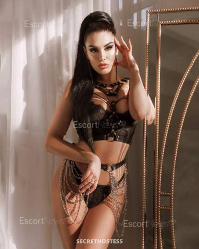 24 Year Old European Escort Amsterdam - Image 1