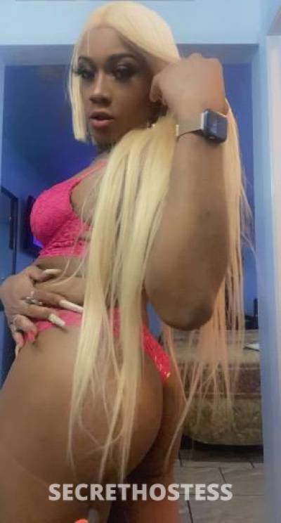25 year old Escort in Jackson MS *trans* freak nasty fantasy