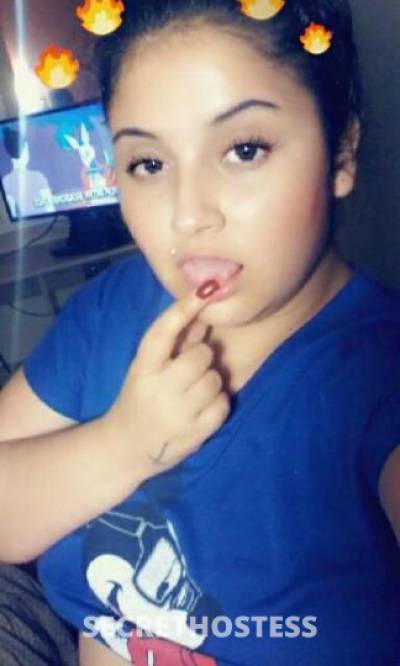 25 year old Latino Escort in Clarksville TN Sexy latina