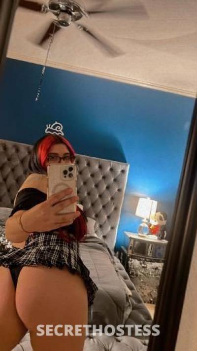 26 year old Latino Escort in Dallas TX Spicy Wet Latina