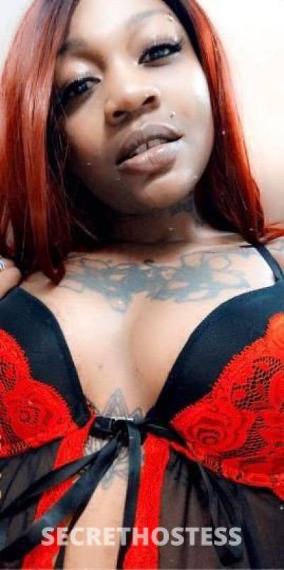 Yasmine 25Yrs Old Escort Allentown PA Image - 4