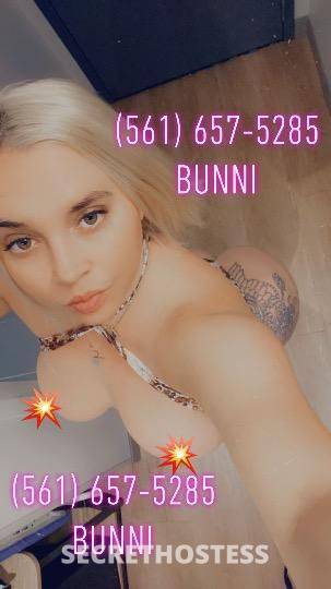 bunni 28Yrs Old Escort Northern Virginia DC Image - 0