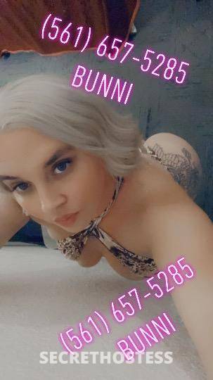 bunni 28Yrs Old Escort Northern Virginia DC Image - 3