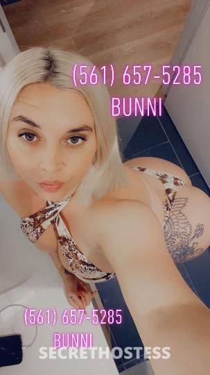 bunni 28Yrs Old Escort Northern Virginia DC Image - 7