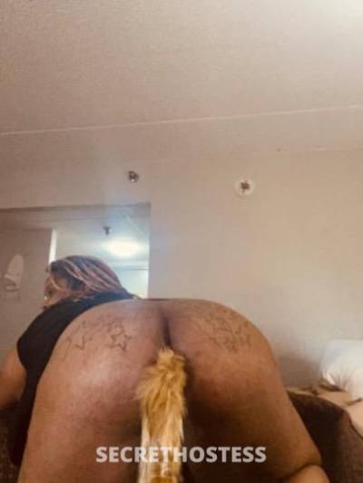 24Yrs Old Escort Newport News VA Image - 8