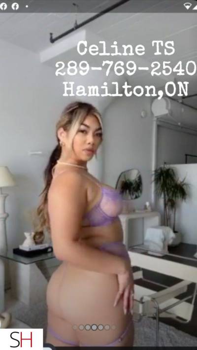 29Yrs Old Escort Mississauga Image - 5