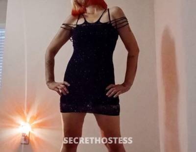 ALEXIS 29Yrs Old Escort Tampa FL Image - 0