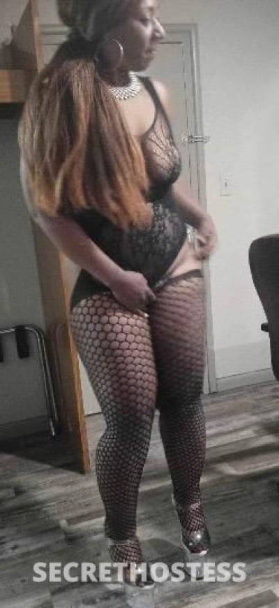 Alexis 25Yrs Old Escort San Antonio TX Image - 4