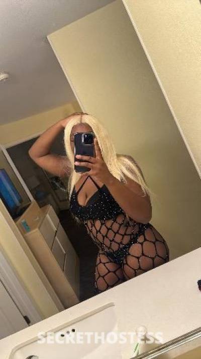 Amiri 24Yrs Old Escort Canton OH Image - 1