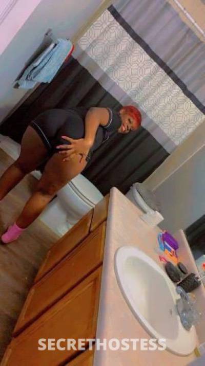 AriAri 26Yrs Old Escort Albany GA Image - 0