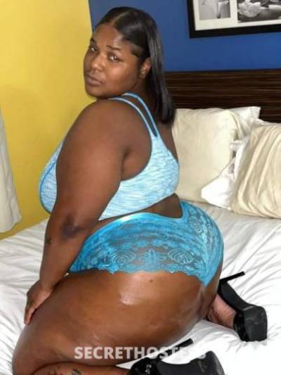 Bailey 24Yrs Old Escort Norfolk VA Image - 4