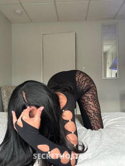 Camila 25Yrs Old Escort North Jersey NJ Image - 7