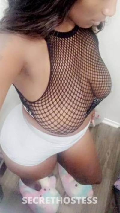 CeCe 22Yrs Old Escort Mid Cities TX Image - 4