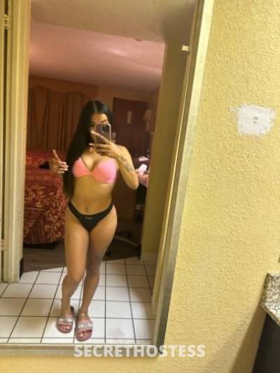 Chyna 20Yrs Old Escort North Jersey NJ Image - 4