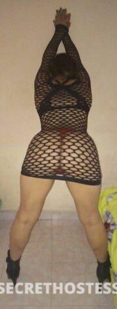 Clara 26Yrs Old Escort Houston TX Image - 0