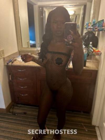 Coco 21Yrs Old Escort Honolulu HI Image - 1