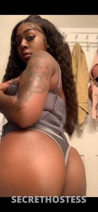 Dream 24Yrs Old Escort Dallas TX Image - 2