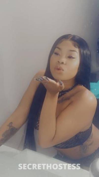 Fantasyxoxo 25Yrs Old Escort North Bay CA Image - 11