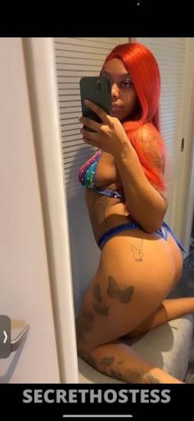 Ginger 21Yrs Old Escort Miami FL Image - 2