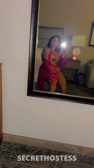 HUNEE 25Yrs Old Escort Tampa FL Image - 4