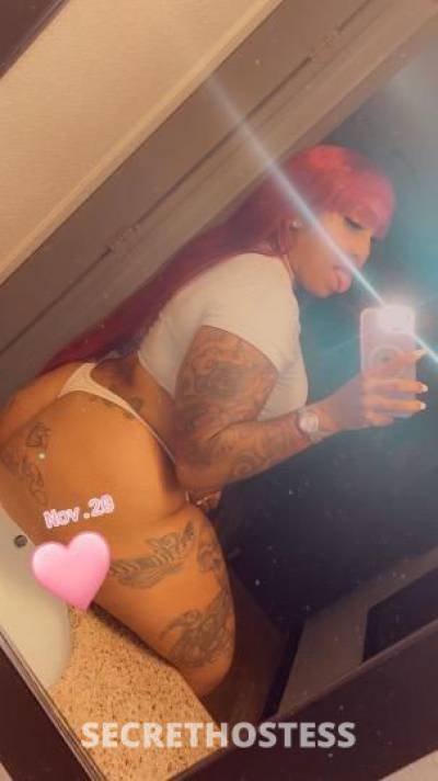 HUNEE 25Yrs Old Escort Tampa FL Image - 5