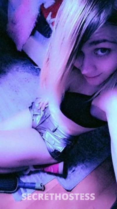 Hayleystardust 28Yrs Old Escort Treasure Coast FL Image - 2