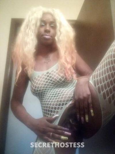 Keekee4U 29Yrs Old Escort Saint Louis MO Image - 3