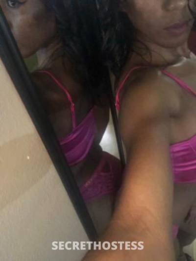 Kelly 25Yrs Old Escort Concord CA Image - 0