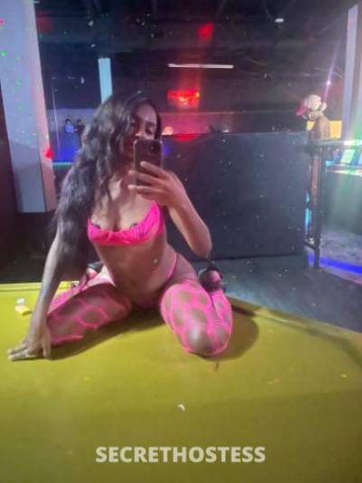 Kream 22Yrs Old Escort Houston TX Image - 1