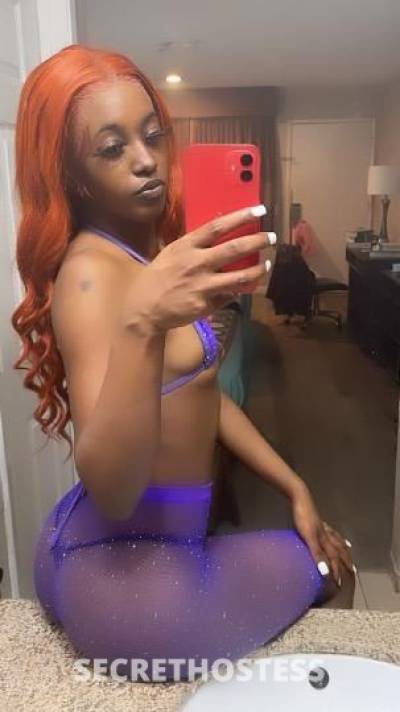 Lola 22Yrs Old Escort San Francisco CA Image - 3