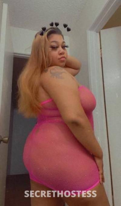 Lyla 24Yrs Old Escort San Diego CA Image - 3