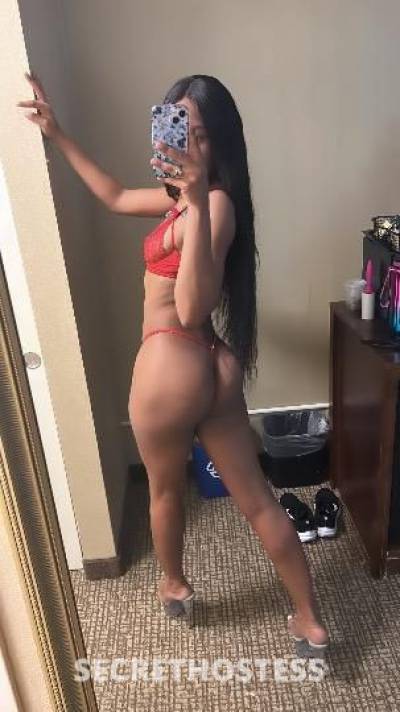 20 Year Old American Escort Boston MA - Image 2