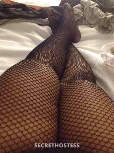 MsKitty 27Yrs Old Escort San Francisco CA Image - 8
