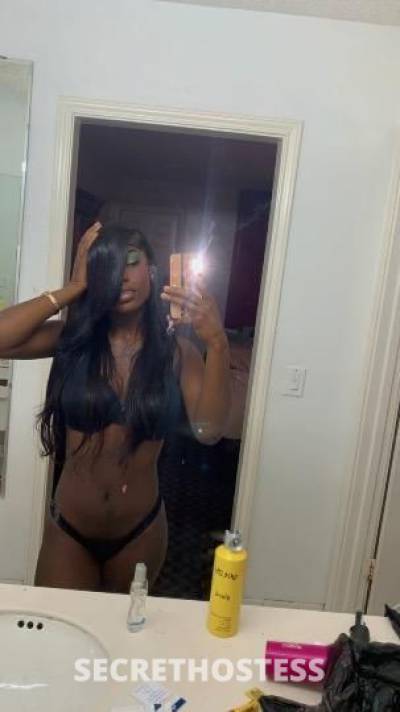 Nikko 20Yrs Old Escort Denver CO Image - 2