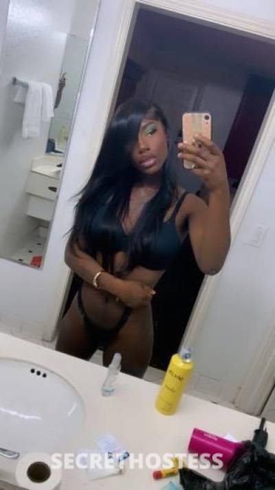 Nikko 20Yrs Old Escort Denver CO Image - 5