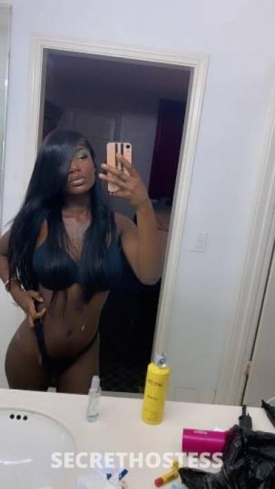 Nikko 20Yrs Old Escort Denver CO Image - 6