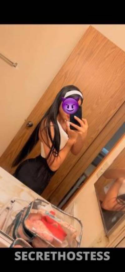 Paola 23Yrs Old Escort Dallas TX Image - 2