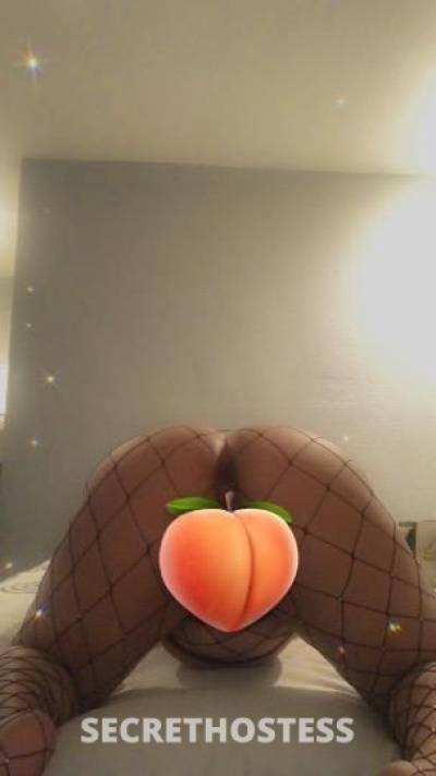 ParisRose 27Yrs Old Escort Sacramento CA Image - 2