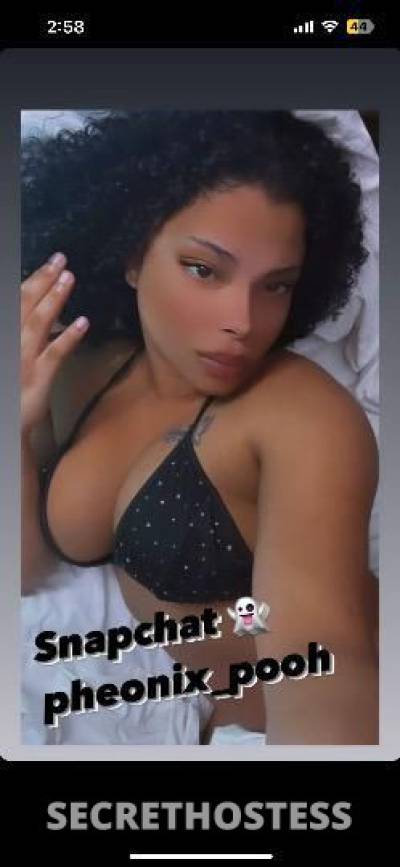 Phoenix 22Yrs Old Escort Brockton MA Image - 5