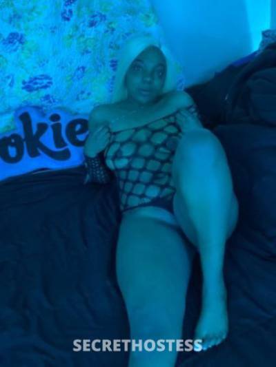 Pocohontas 21Yrs Old Escort Concord CA Image - 4