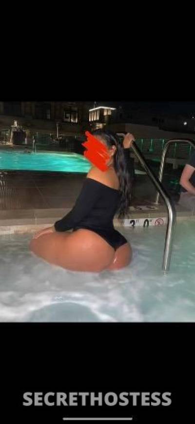Rose 24Yrs Old Escort South Jersey NJ Image - 1