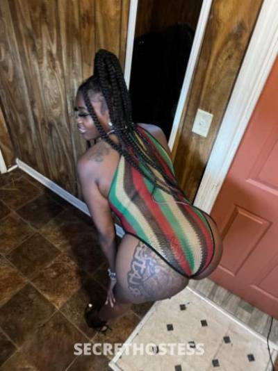 Shanell 23Yrs Old Escort Albany GA Image - 0